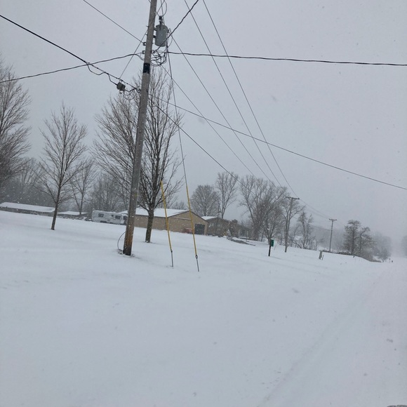 TY rare Halo Beanie Baby - Picture 8 of 9